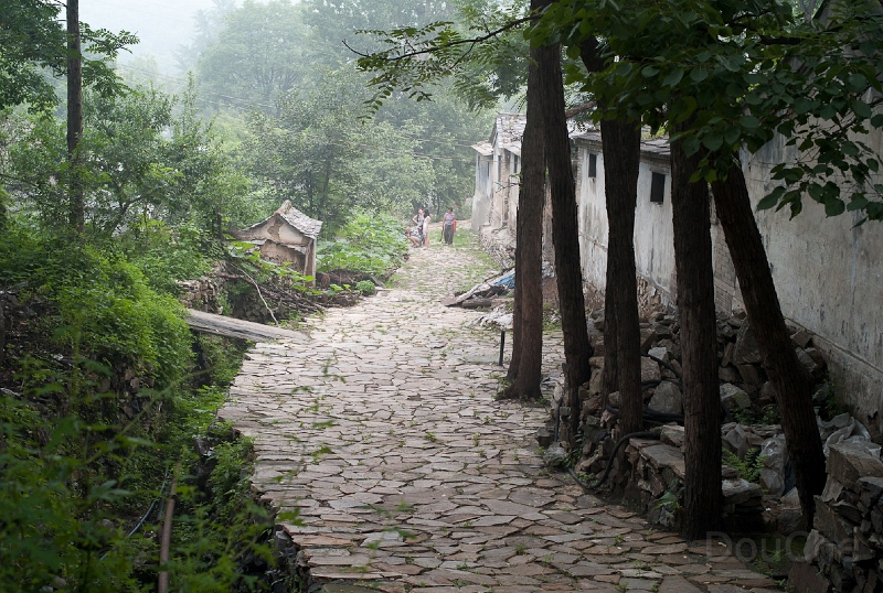 L1010798.jpg