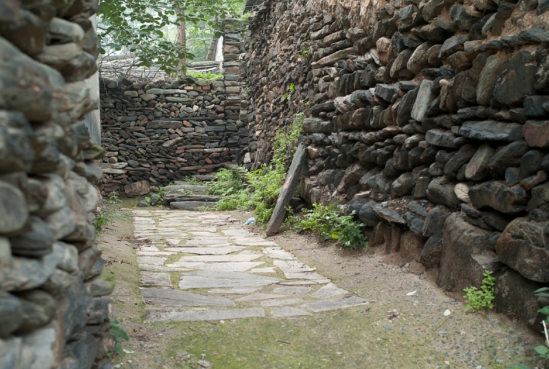 L1010833.jpg