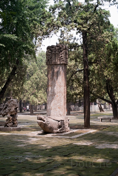 L1009845.jpg