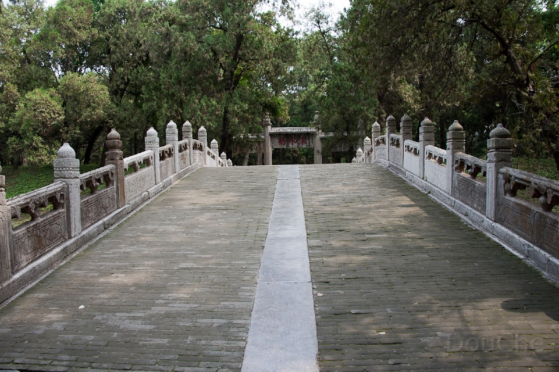 DSC_4962.jpg