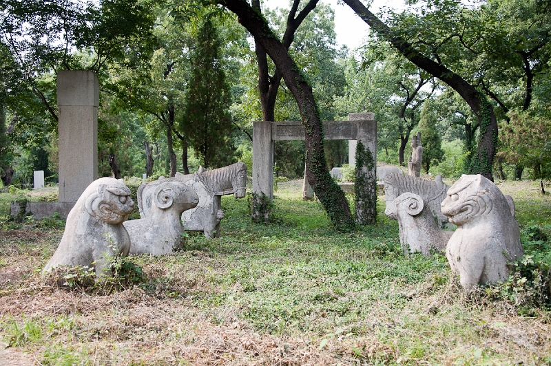 DSC_4994.jpg
