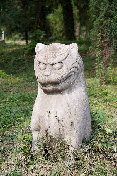 DSC_4995.jpg