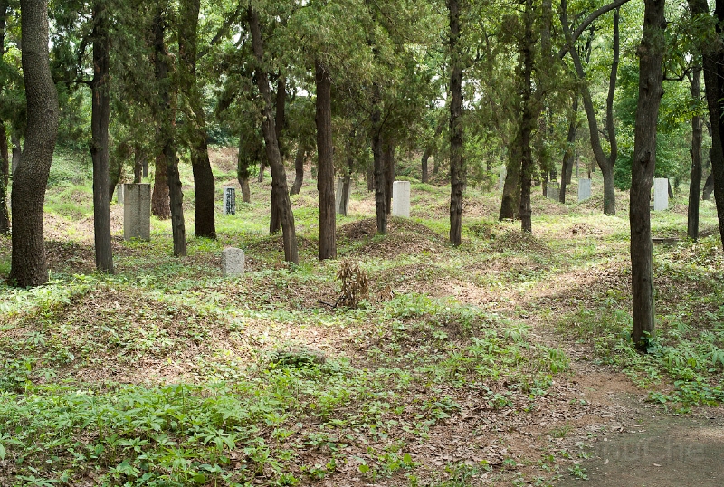 L1010006.jpg