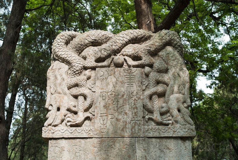 L1010009.jpg