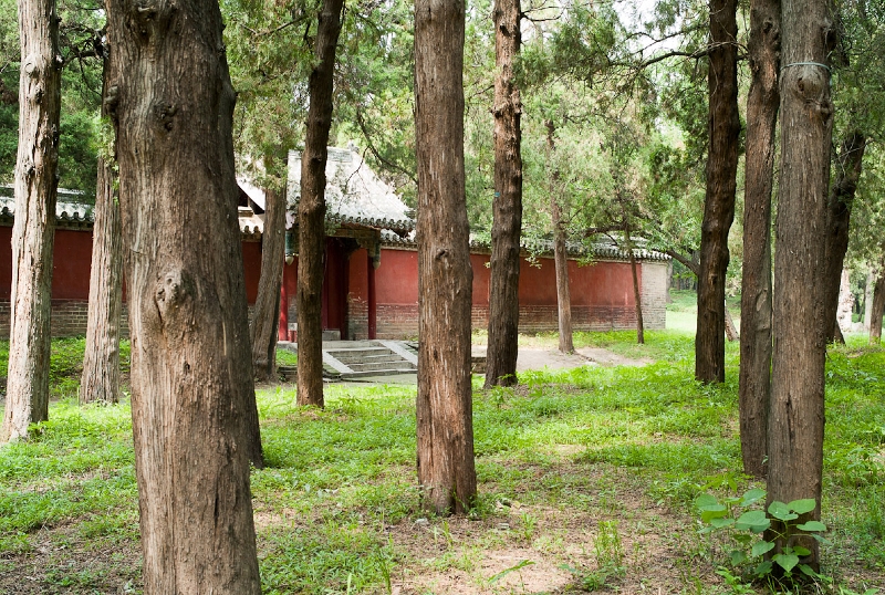 L1010010.jpg