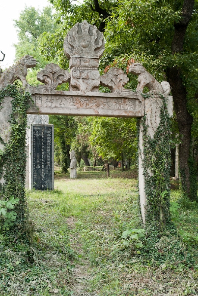 L1010034.jpg