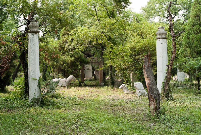 L1010036.jpg
