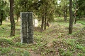 L1010031