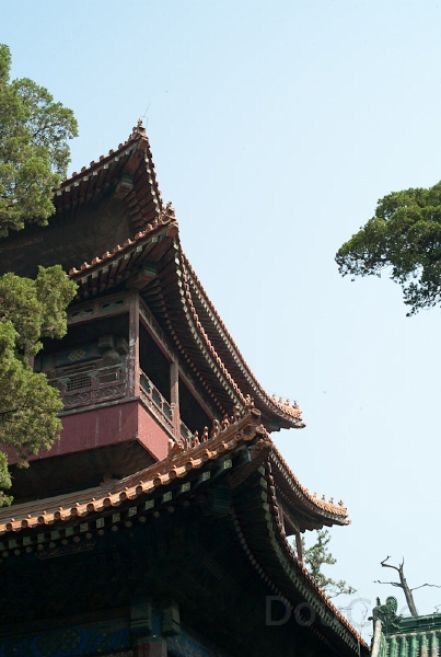 L1009927.jpg