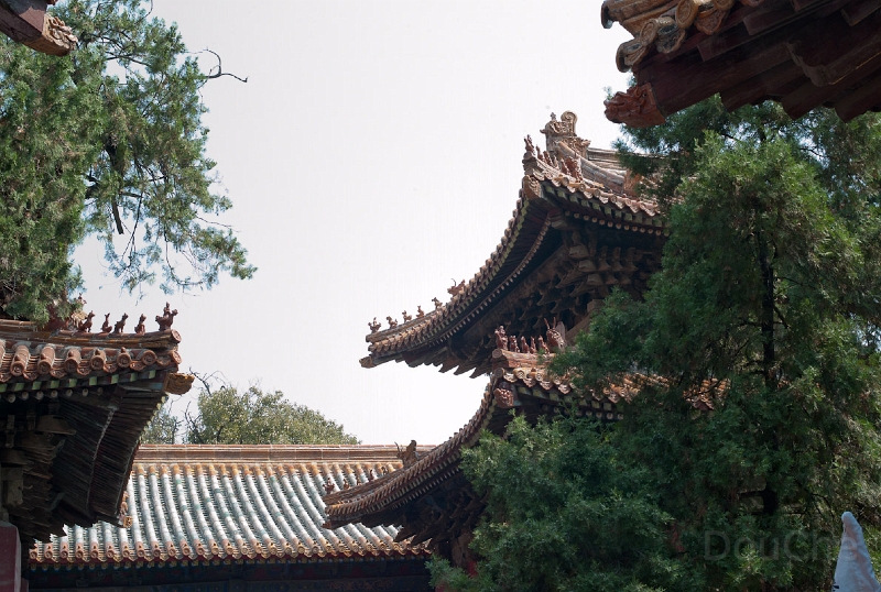 L1009931.jpg