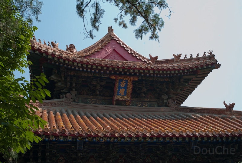 L1009939.jpg