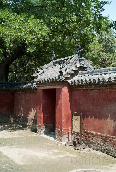 L1009966.jpg