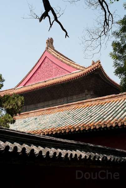 L1009971.jpg