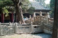 L1009913