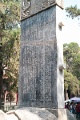 L1009923