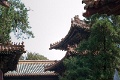 L1009931