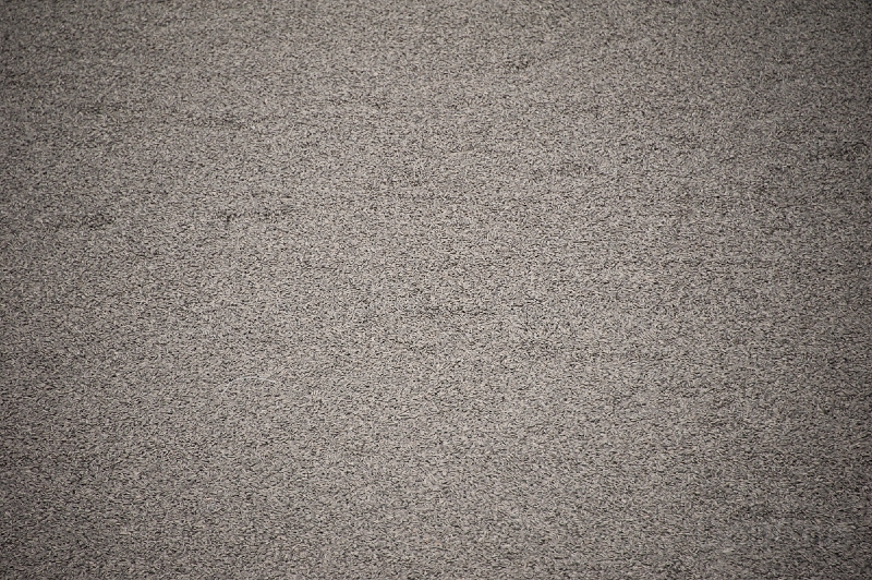 DSC_3247.jpg