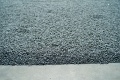 L1009293