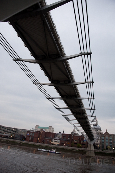 DSC_3084.jpg