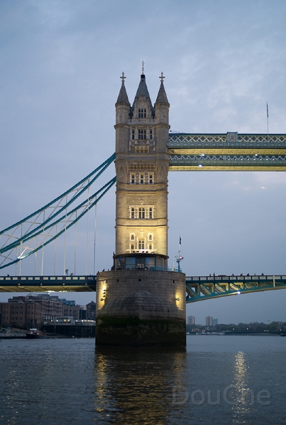 L1009146.jpg