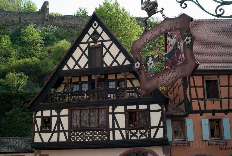 L1009368.jpg