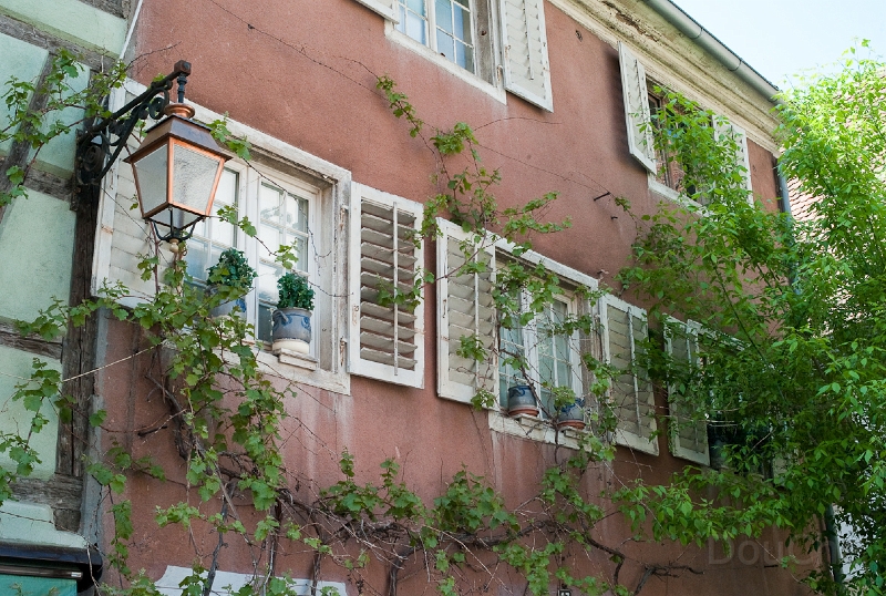 L1009335.jpg