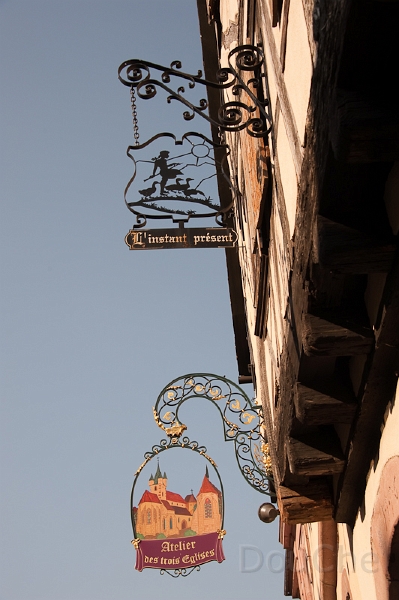 DSC_3427.jpg