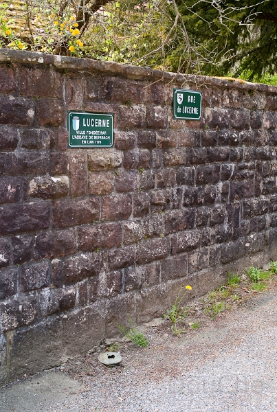 L1009537.jpg