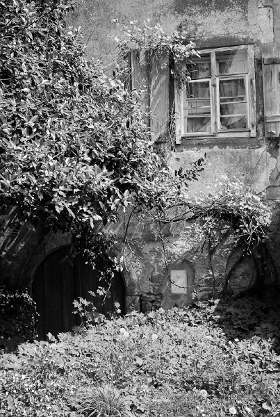 L1009562.jpg