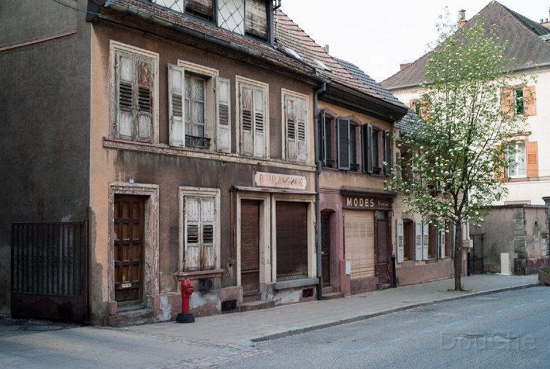 L1009484.jpg