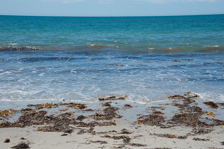 Goolwa