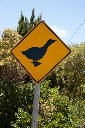 Goolwa