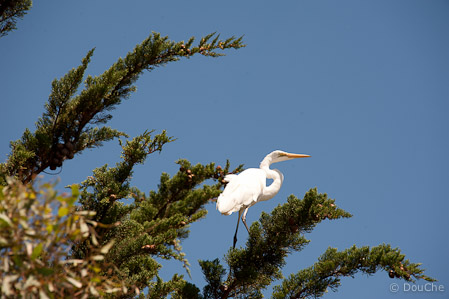 Goolwa