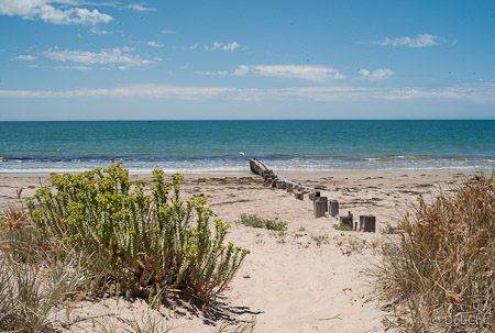 Goolwa