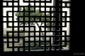 L1014003