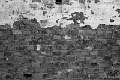 L1014219