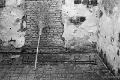 L1014255