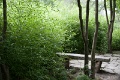 DSC_1966
