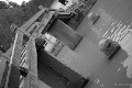L1013906