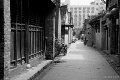 DSC_1118