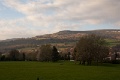 DSC_9544
