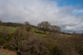 DSC_9671