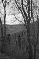 DSC_9672-2