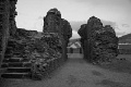 DSC_9812-2