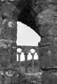 L1012441-2