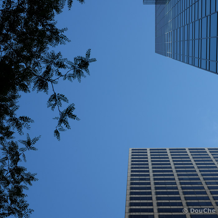 Looking up ...