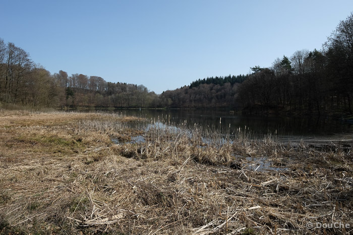 Holzmaar
