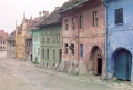 1981