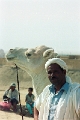 1982